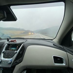 Meet your Posher, Wyatt